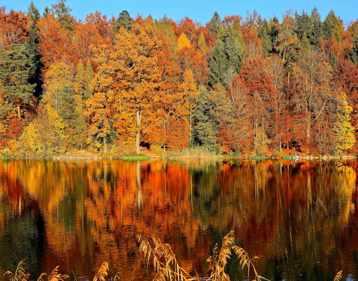 Bunte Herbstblätter – Natur zum Anfassen